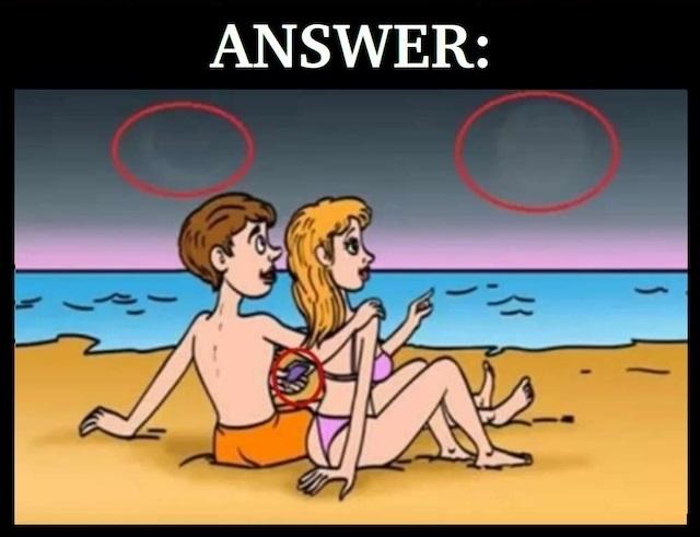 Step-by-Step Breakdown