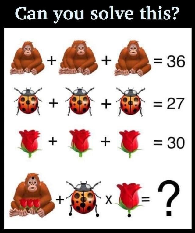 RIDDLE: Ape Bug Rose Maths Puzzle