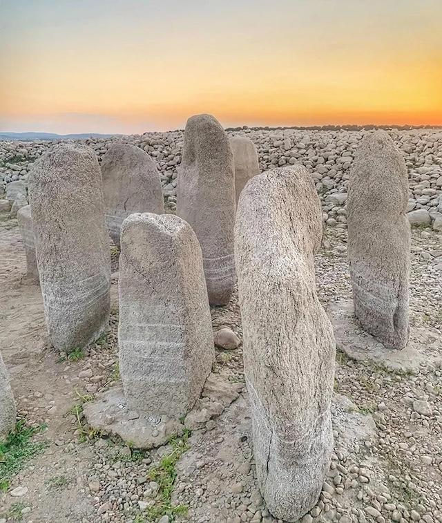 Preservation and Threats