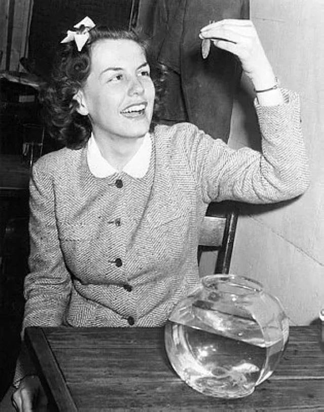 Innovations and Creativity