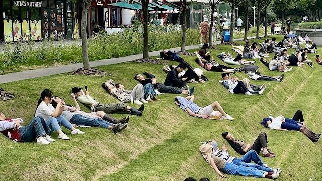 The Unique Design of the Tiered Lawn