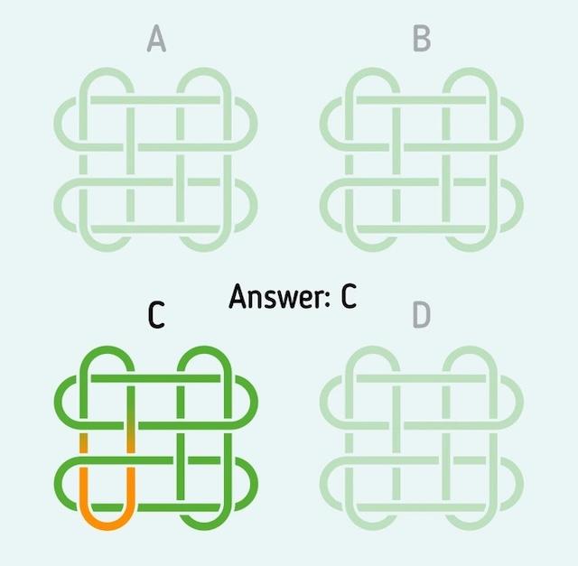 Answer: C. The pattern in C is unique because of its distinctive orange-bordered loop. Did you manage to find it?