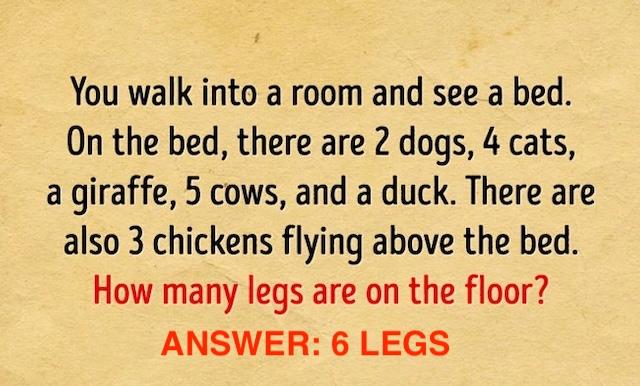 The answer is 6 legs! Did you get it right? Remember, it's just you and the bed on the floor!