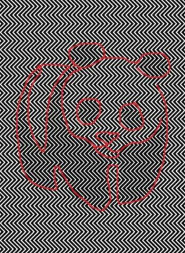 Here’s the reveal! Did you spot the panda hiding in the pattern? This tricky optical illusion challenges even the best observers!