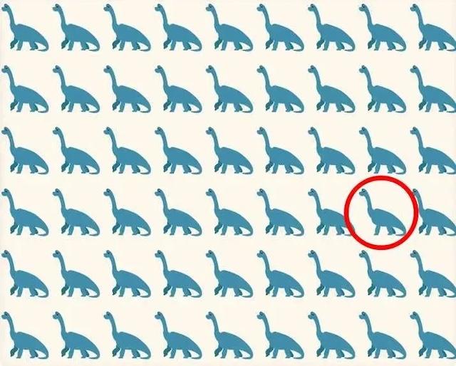 Did you spot the odd dinosaur? Here’s the answer circled in red! It’s all about noticing the small differences
