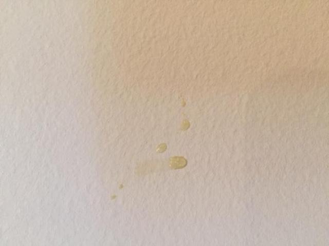 Small isolated yellow droplets on a white wall, likely highlighting the early stages of staining or moisture buildup