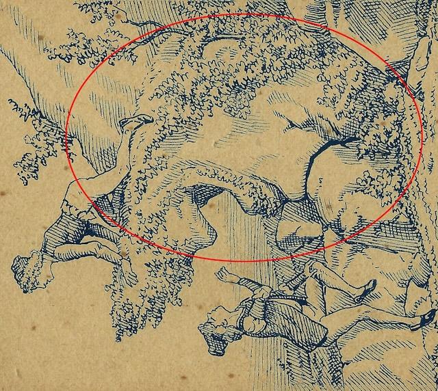 Turn the photo to the left, have you found it yet?