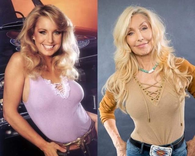 The timeless beauty and figure of Heather Thomas through the yeara