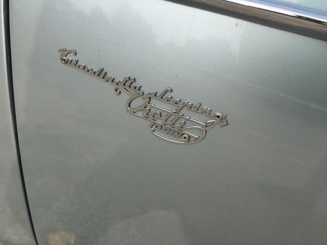 Close-up of the Fiat 1100 Giardinetta Sleeping badge, emphasizing the vehicle's unique identity.