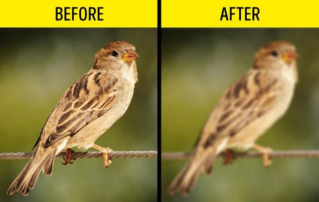 Fluid shift increases pressure on the optic nerve, swelling it and flattening the eyeball, leading to vision issues during and after space missions.