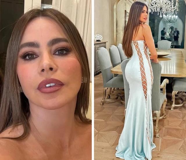 Sofía Vergara dazzles at the Oscars After-Party!