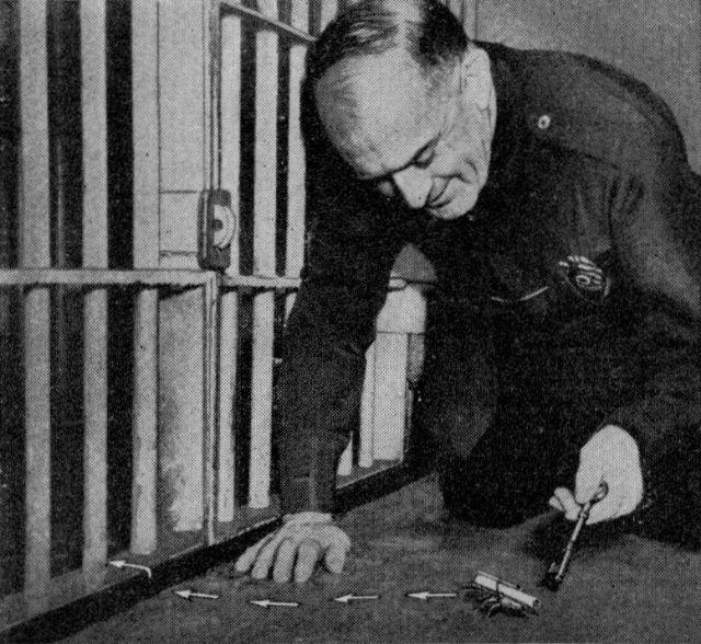 A trained cockroach smuggles cigarettes – an unexpected and quirky solution for smokers in need of stealth.