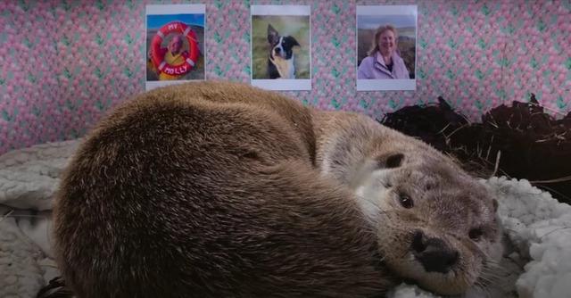 At first, Molly was playful but also mischievous, rolling around in Susan’s pots and causing trouble when Billy was away