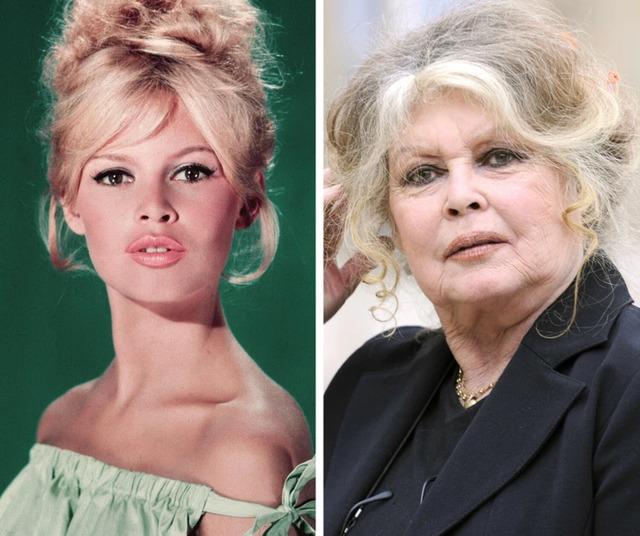 The evolution of Brigitte Bardot, her influence on beauty standards, and her departure from Hollywood.