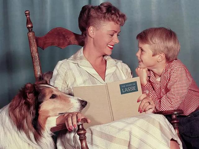 After the original Lassie series ended in 1973, the show’s influence lingered, and its stars left an indelible mark on audiences worldwide.