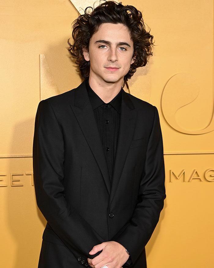 How Timothée Chalamet’s Career Became a Testament to His Success