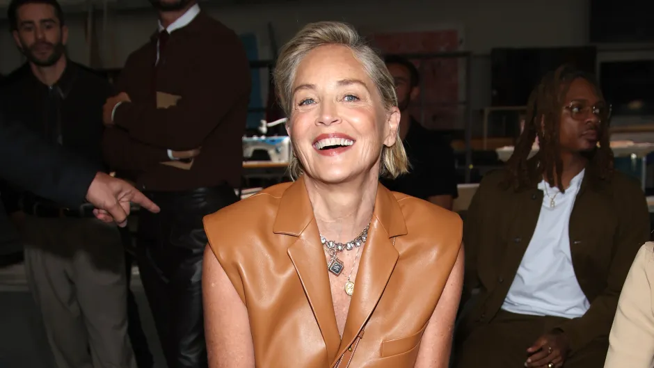 Sharon Stone: From Hollywood Stardom to Bribery Scandal