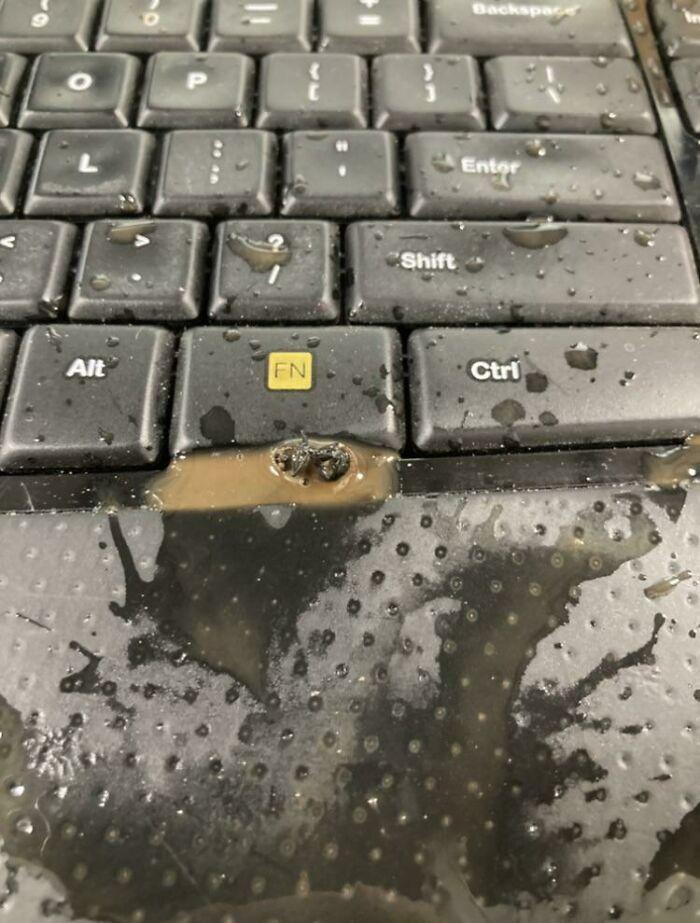 Fly Fell Into My Coffee at Work—Spit It on Keyboard