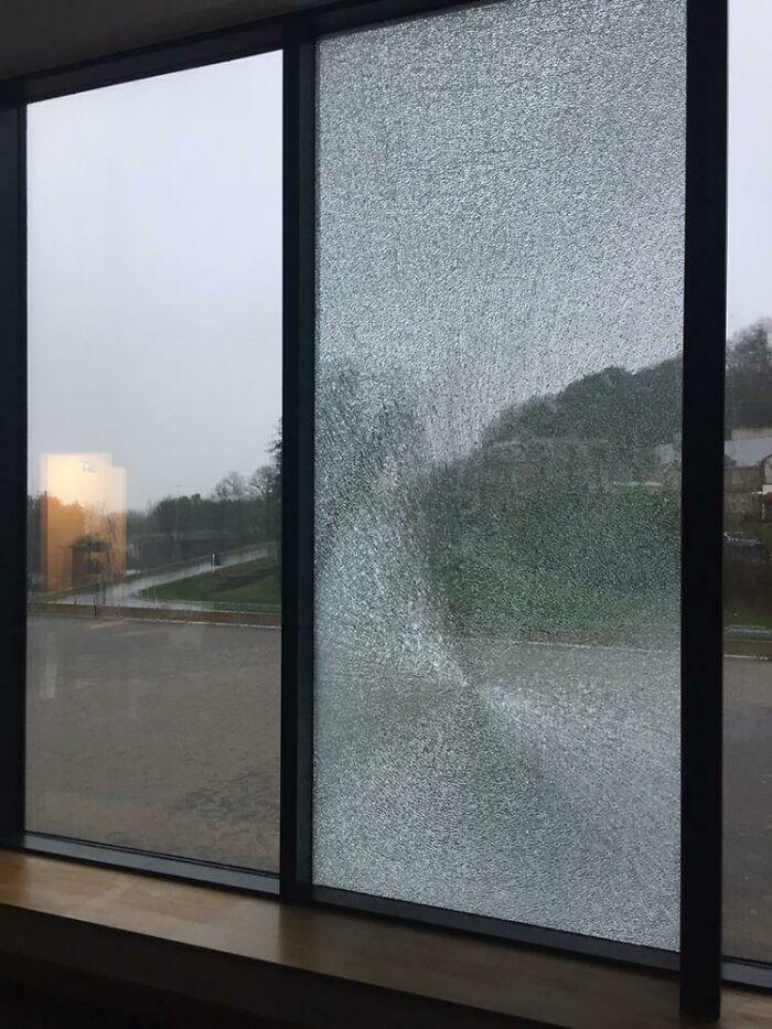 Windows at Work Explode Every Month or So