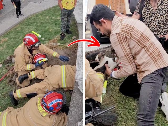 Equipped with precision tools and calm determination, the firefighters carefully widened the hole in the pavement