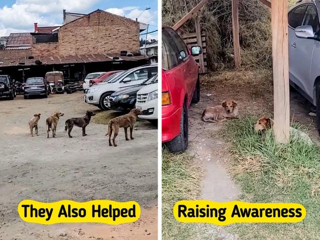 Guidance for Encountering Similar Situations