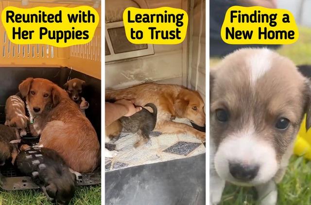 Mama Lucha herself was embraced by the rescue team, becoming a beloved figure in the community.