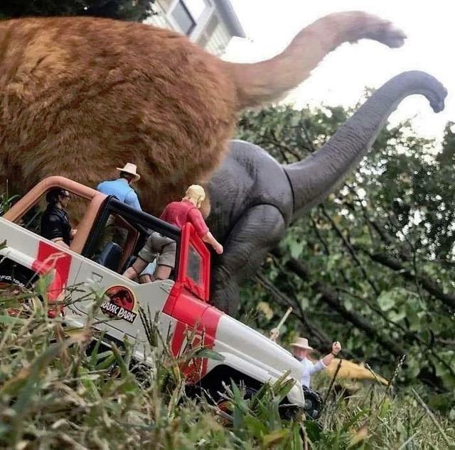 Dino Adventure with a Cat in a Toy Jeep