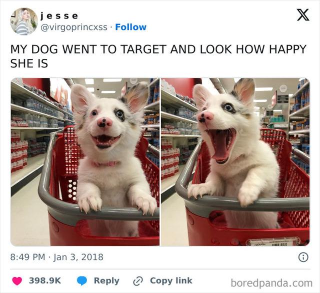 Shopping Cart Superstar Doggo