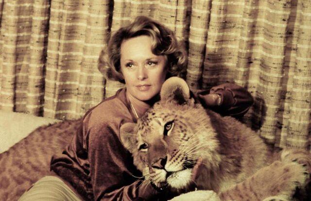 Bonding with a lion cub — the beginning of a lifelong mission.