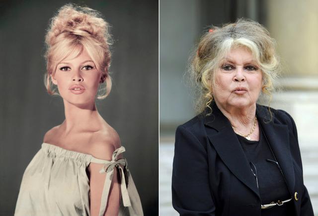 From the golden age of cinema to her later years, Brigitte Bardot's transformation is a testament to her evolving sense of self and the passage of time.
