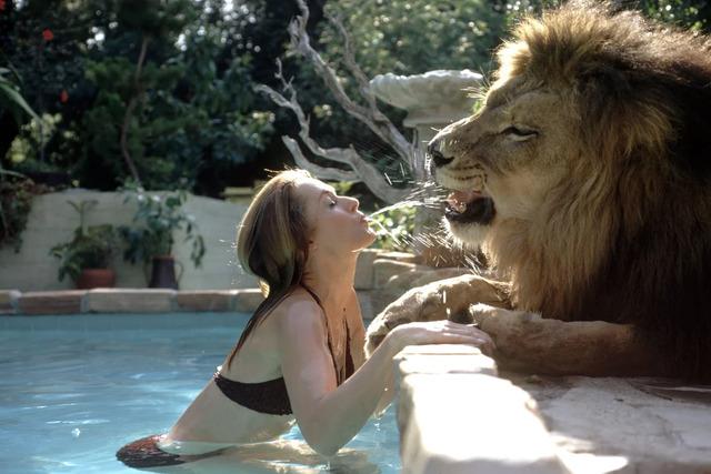 In 1981, Tippi and her family embarked on one of Hollywood’s strangest projects: Roar