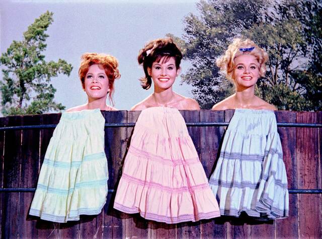 The Bradley sisters—an unforgettable trio who brought heart and humor to Petticoat Junction.