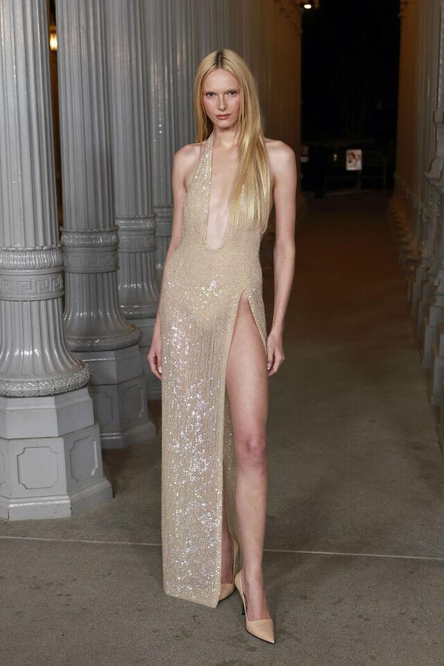 Alex Consani: Beige Glam or Was It Too Dull for the Gala?