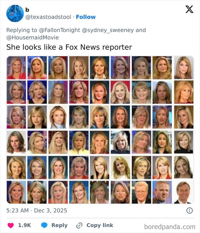 A Twitter user humorously compares Sydney Sweeney's hairstyle to that of Fox News reporters, sparking even more debate about her appearance.