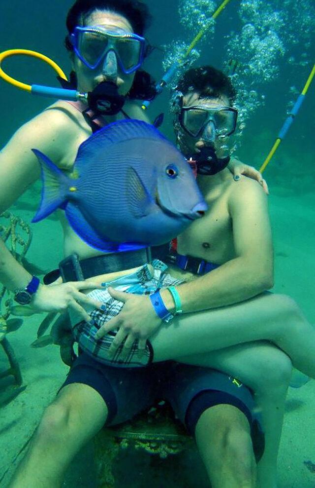 Dory photobombs an underwater photo.