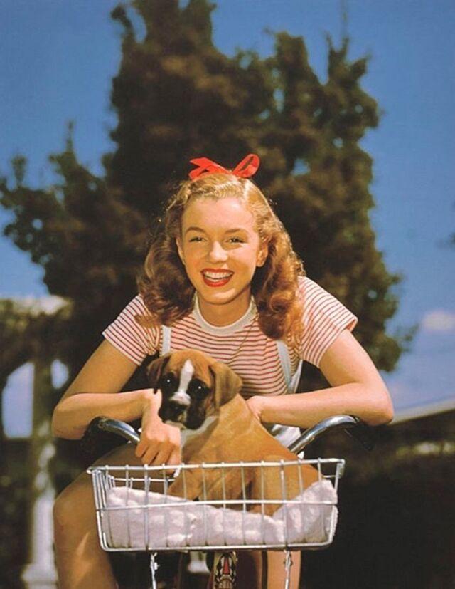 These rare photographs remind us that before Marilyn Monroe became an icon, she was a young woman standing at the threshold of a life she could not yet imagine