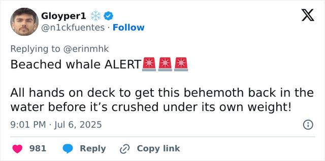 A critical and hurtful comment directed at Erin Marley Klay following her bikini post. This comment is one of many fatphobic responses to her confidence.