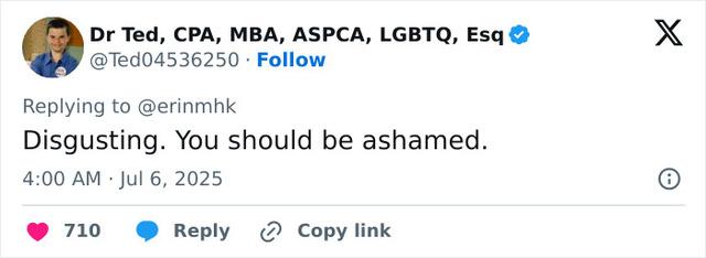 Another example of fatphobia, where a user attempts to shame Erin for her choice to wear a bikini, revealing the harsh reality of online hate.