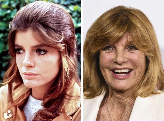 Katharine Ross stands as a glowing and rare example of the immense dignity found in choosing to age naturally in a digital world.