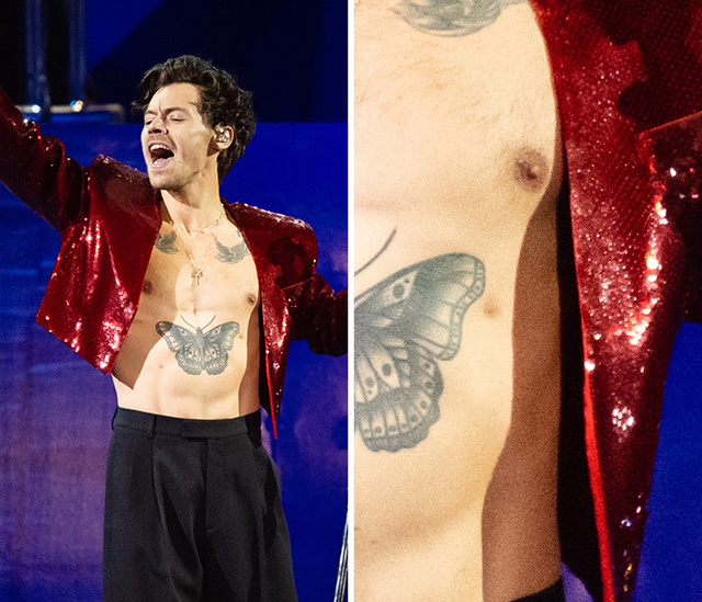 The Polythelia Quirk of Harry Styles