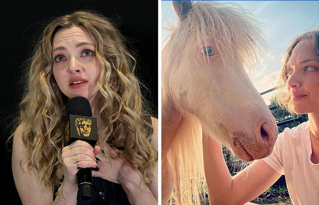 Amanda Seyfried: The actress keeps a unique collection of taxidermy animals as decorative art in her home.