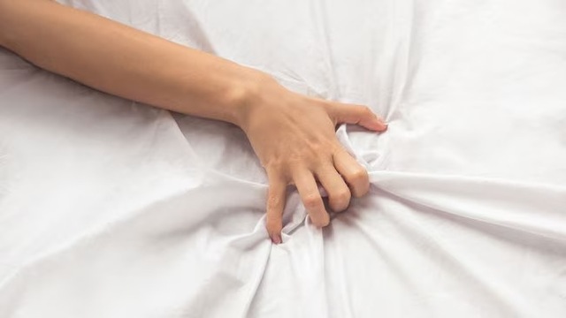 The French Investigation: Seven Women and a Gynaecological Breakthrough