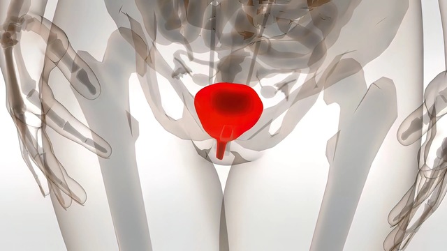 Unlike the male counterpart, which is dominated by semen, the female equivalent was long thought to be a single substance