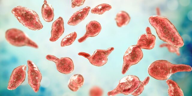 What makes Mycoplasma genitalium so unique—and so difficult to handle—is its biological structure.