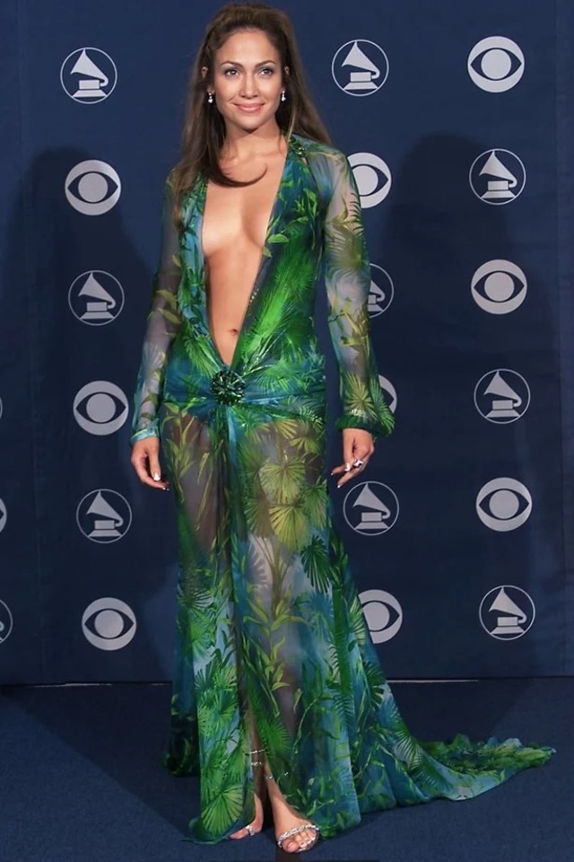 When she stepped onto the red carpet in a jungle-print, silk chiffon Versace dress with a neckline that plunged past her navel, she didn't just break the internet