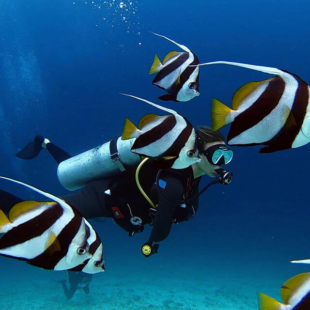A researcher documenting marine life; the team was in the Maldives to study climate change impacts.