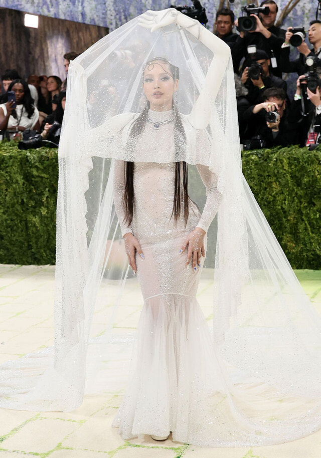 Lisa left fans confused in a look that resembled a high-fashion mosquito net.