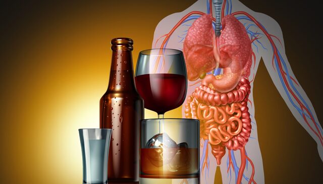 Mapping the Risk: The Seven Specific Cancers Linked to Consumption