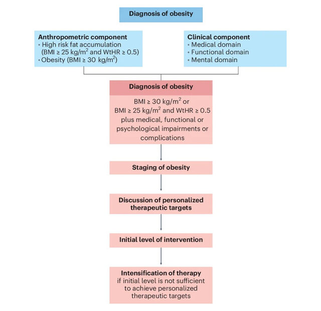A medical flowchart detailing the multi-tiered diagnostic criteria and step-by-step clinical staging of obesity.
