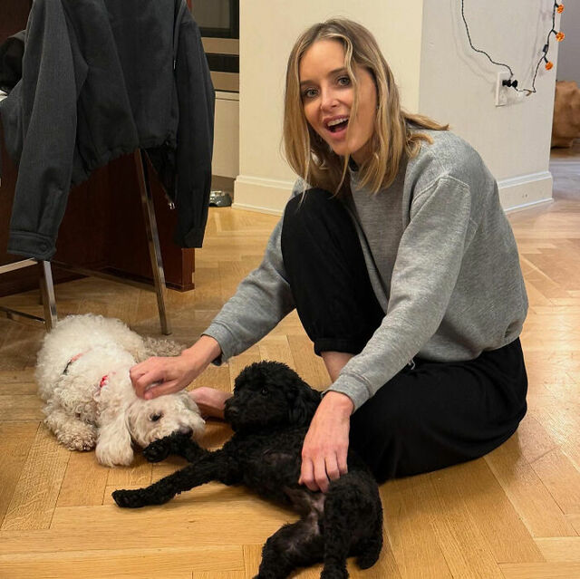 Actress and author Jenny Mollen sharing a candid moment at home with her pets before the internet firestorm.